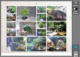 BookPageWith20Photos.png