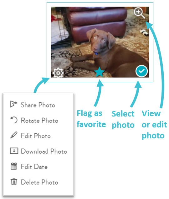 MY PHOTOS all your online albums and photos Snapfish Help