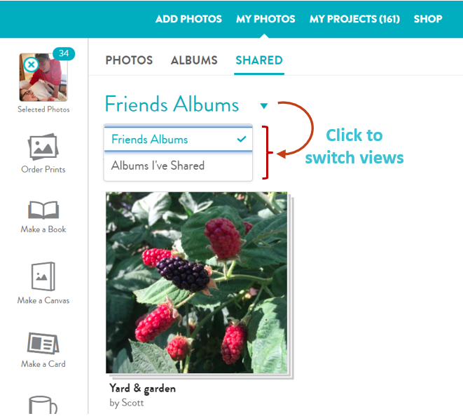 Shared album view