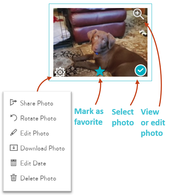 Mouse over a thumbnail to rotate, edit photo, download, edit date or delete a photo