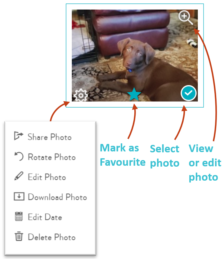 Mouse over a thumbnail to rotate, edit photo, download, edit date or delete a photo