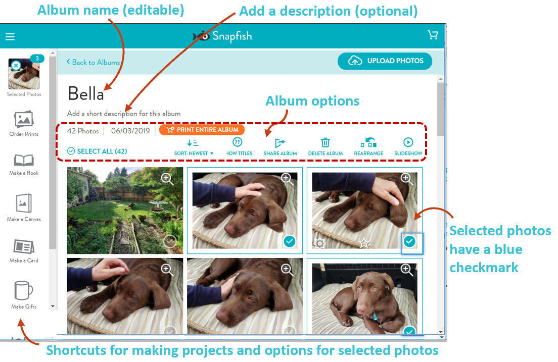 Album view of your photos