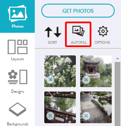 The Autofill option on the Photos tool menu for quickly placing your photos